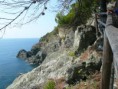 /album/cinque-terre/p1030448-jpg/